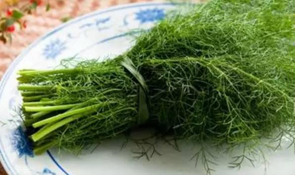 煮面条用热水还是冷水？答案意想不到